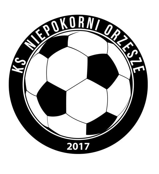 VI Międzynarodowy Mikołajkowy Turniej halowej piłki nożnej dziewcząt U-2006,chłopców U- 2007 oraz kobiet Krzeszowice 2019 .